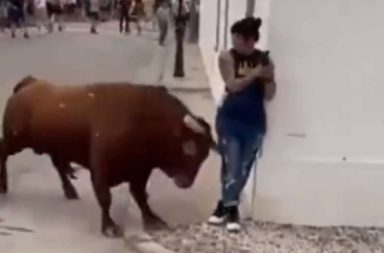 Una mujer pensó que al estar sin moverse en la esquina de una calle un toro no la embestiría, pero estaba totalmente equivocada.