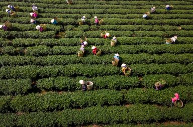 Yara reconocerá a agricultores jóvenes de Ecuador y Latinoamérica