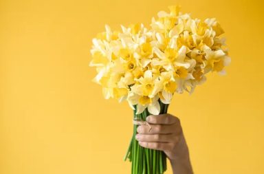 ¿Por qué regalar flores amarillas este 21 de septiembre?