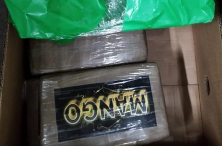 Las autoridades de Portugal, en Europa, decomisaron 4,4 toneladas de cocaína que estaban camufladas entre cajas de banano.