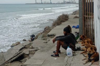 El asesinato de un hombre registrado en pleno centro de Manta, en Manabí, involucró también a tres perritos.