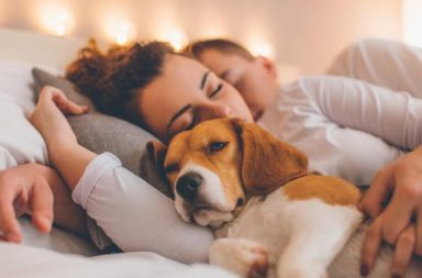 Mujeres duermen mejor con su perro que con su pareja, según estudio