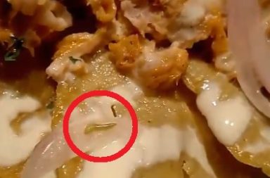 Le salió un gusano en su comida, ocurrió en Guayaquil