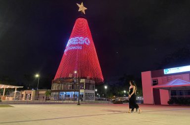El árbol de Navidad de El Diario encendió sus luces en La Rotonda