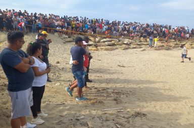 La parroquia San Mateo, localidad de pescadores ubicada en la ciudad de Manta, en Manabí, está de luto.