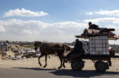 En Gaza comen caballos para sobrevivir