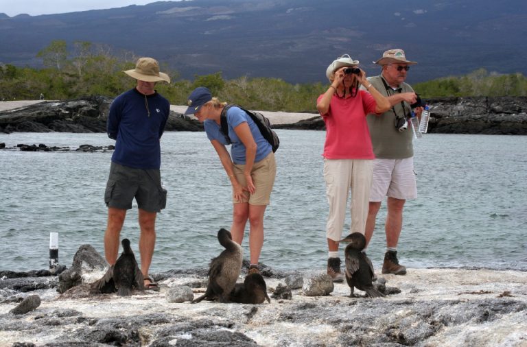 Los turistas nacionales y extranjeros que tengan planeado visitar las Islas Galápagos pagarán más por la entrada al archipiélago.
