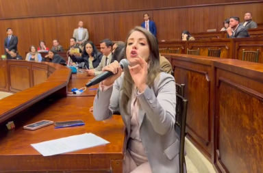 El movimiento Construye llevará al Comité de Ética a la legisladora Mónica Palacios
