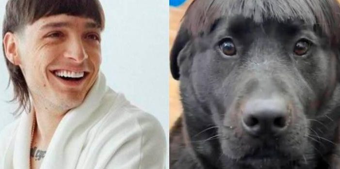 Un perro parecido a Peso Pluma causa revuelo en redes sociales