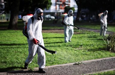 Argentina: El dengue deja 197 muertes