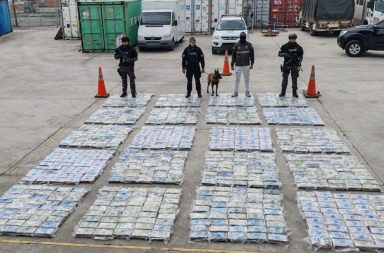 Una tonelada de droga se descubrió camuflada entre un cargamento de cacao de aroma fino que estaba listo para ser exportado.