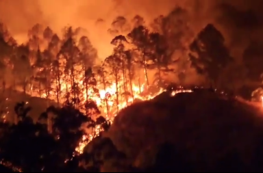Incendio forestal arrasa con hectáreas de bosques en Quilanga, Loja