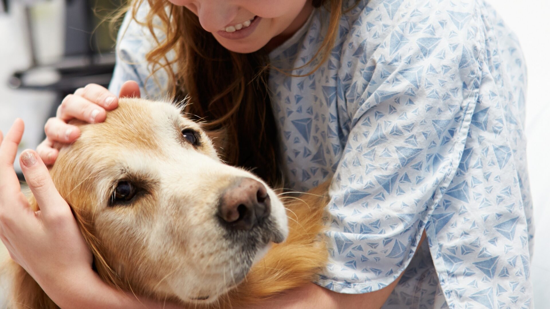 La terapia asistida con perros es sanadora.
