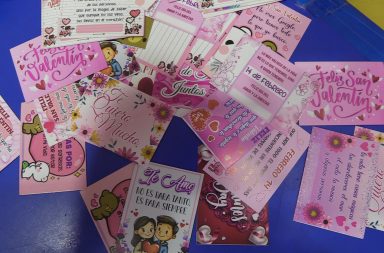 SAN VALENTIN FLORES ENAMORADOS