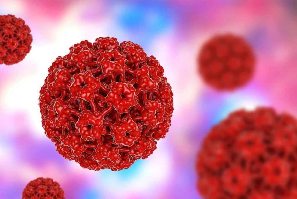 El virus del papiloma humano aumenta el riesgo de enfermedades cardíacas