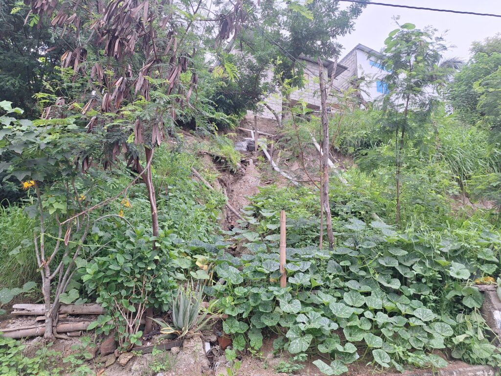 Moradores de Los Jardines piden reparación de muro de contención