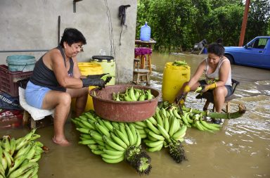 CONDONACIÓN DEUDA BANECUADOR