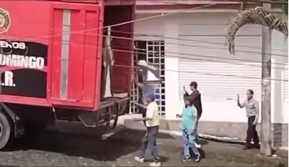 Denuncian uso de vehículo de Bomberos en Santo Domingo para transportar figuras de Noboa