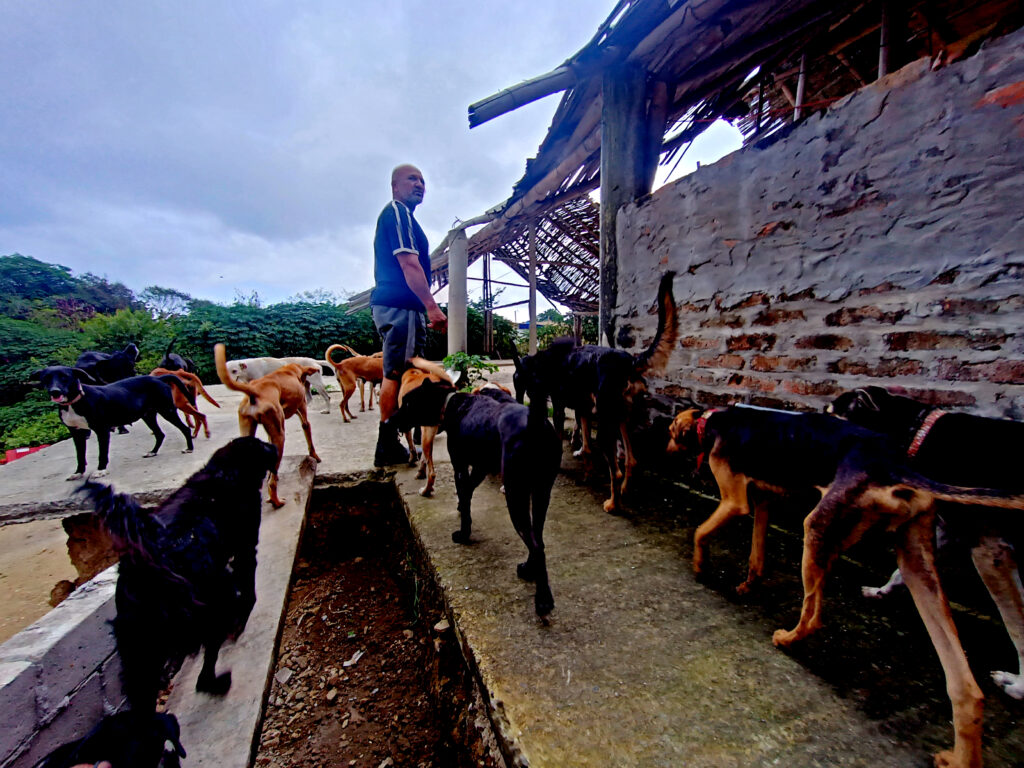 Hace un año, Gustavo Rodríguez tenía 270 perros a su cargo; hoy son 340. Mañana será otro día y quién sabe cuántos habrá.