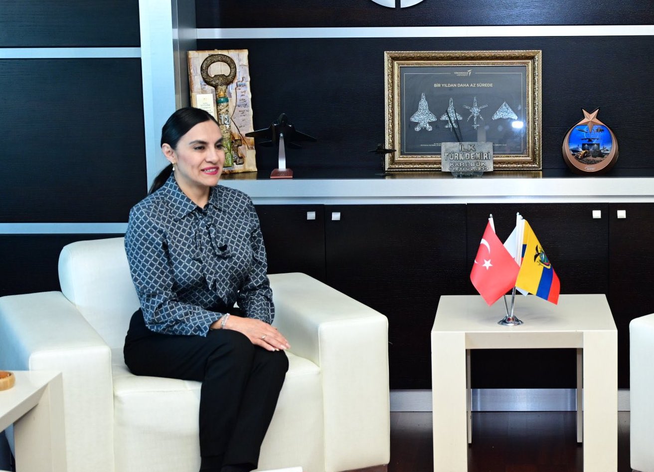 Vicepresidenta Verónica Abad asegura que en el TCE han pervertido la violencia política de género
