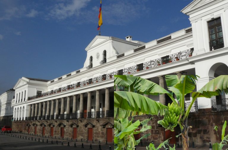 Resultados de la “bananocracia”. ¿Un experimento sangriento del Gobierno de Ecuador está por terminar