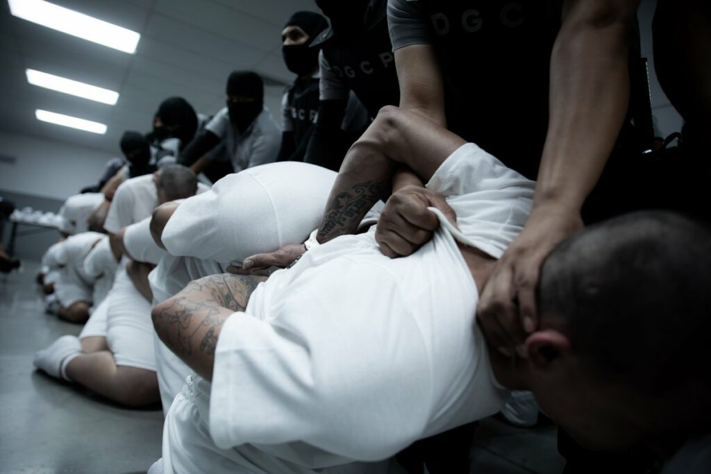 Miembros del Tren de Aragua detenidos.