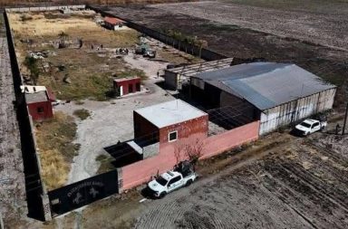 Un rancho habría servido como campo de exterminio en México