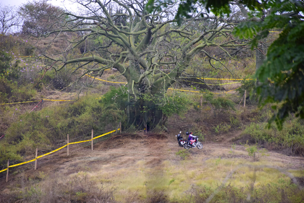deforestación portoviejo