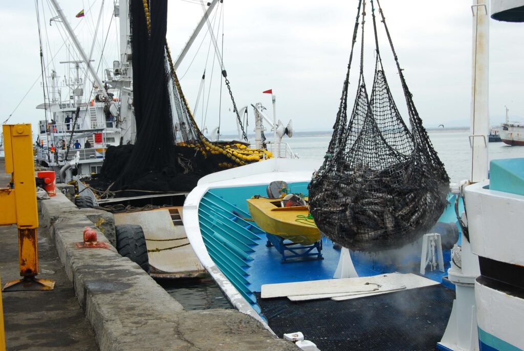 pesca manabi produccion grandes contribuyentes
