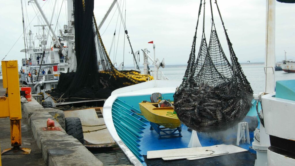 pesca manabi produccion grandes contribuyentes