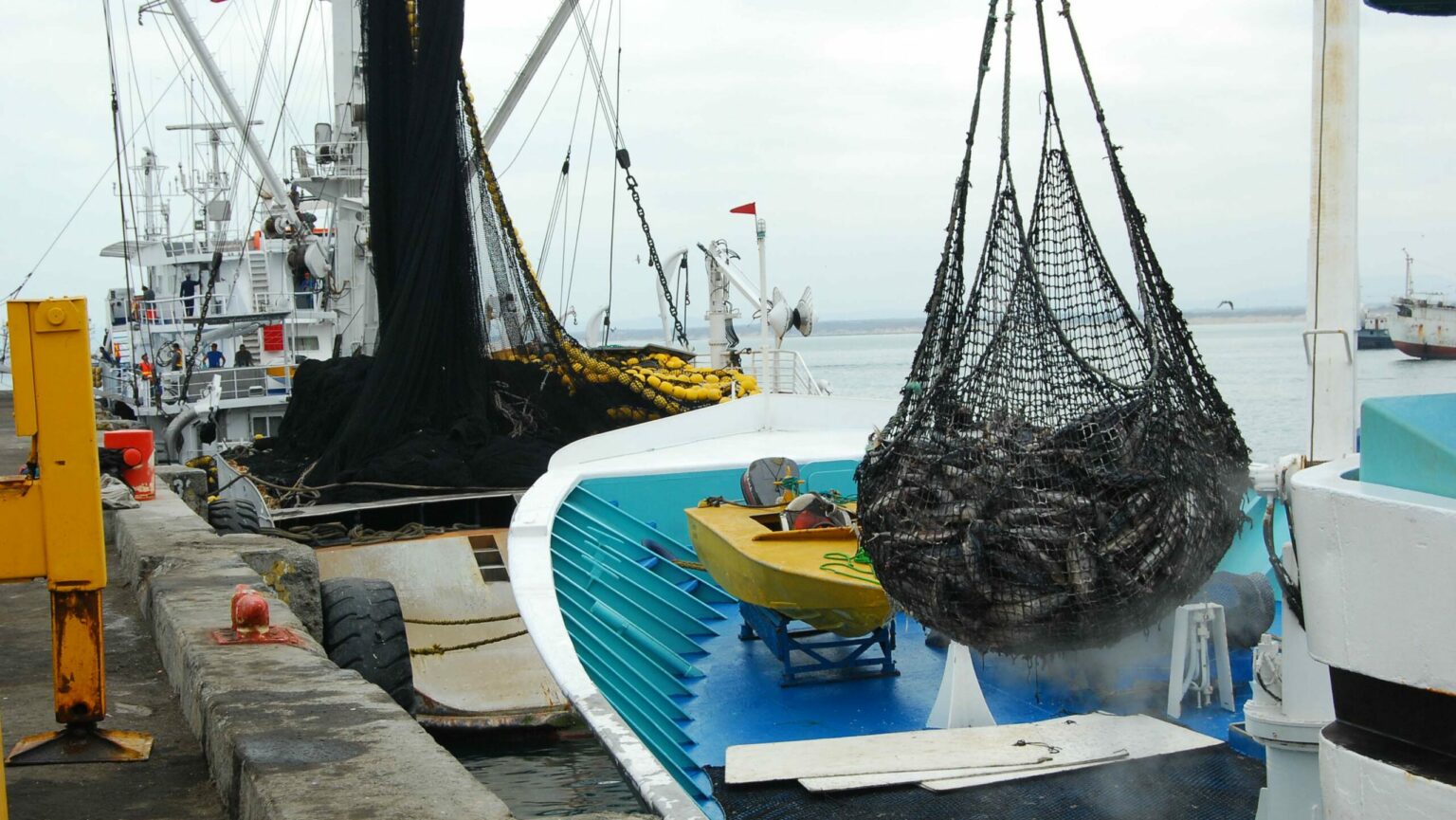 pesca manabi produccion grandes contribuyentes