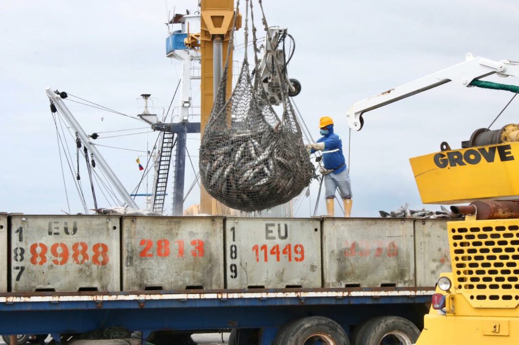 ¿Por qué el atún ecuatoriano no tiene espacio para más empresas?