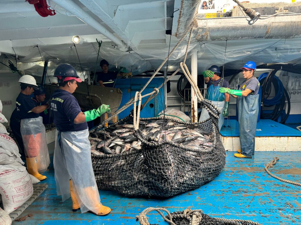 Ecuador enfrenta nuevas condiciones de Europa para la exportación pesquera