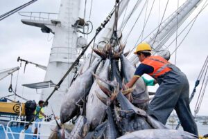 Ecuador es el segundo exportador mundial del atún