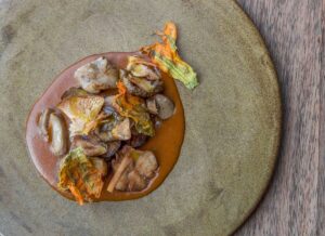 Hongos del bosque de la primavera con tinga.
