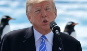 Donald Trump aranceles Heard y McDonald territorio de pingüinos