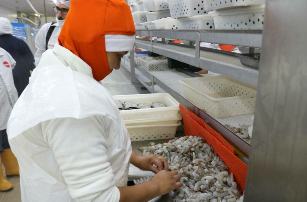 Exportadores ecuatorianos buscan soluciones ante tarifas anunciadas por Donald Trump