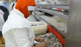 Exportadores ecuatorianos buscan soluciones ante tarifas anunciadas por Donald Trump