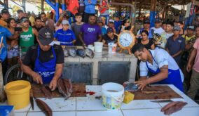El Festival Mundial del Atún en Manta, muestra a los involucrados en la pesca industrial y la artesanal.