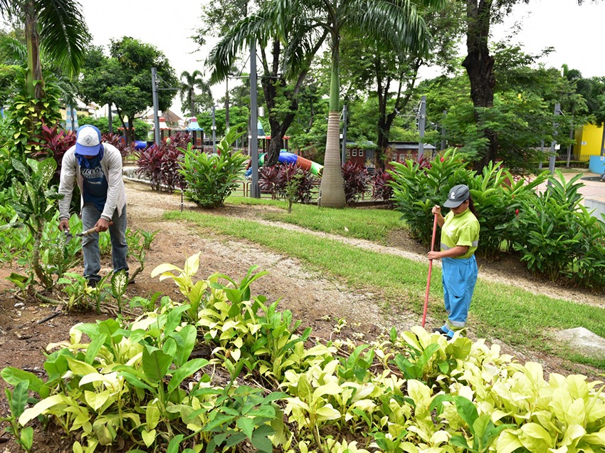 Fundación Siglo XXI de Guayaquil ejecutó una jornada de barrido, recolección de material vegetativo y riego en el parque Junín.