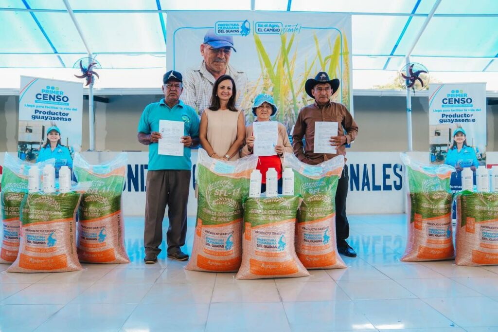 La producción arrocera en Guayas sostiene a miles de familias y abastece el mercado nacional, con un consumo anual de 700 mil toneladas.