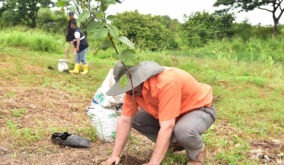 Este sábado 26 de abril, en Guayaquil, se sembrarán 600 árboles por el Día de la Tierra.
