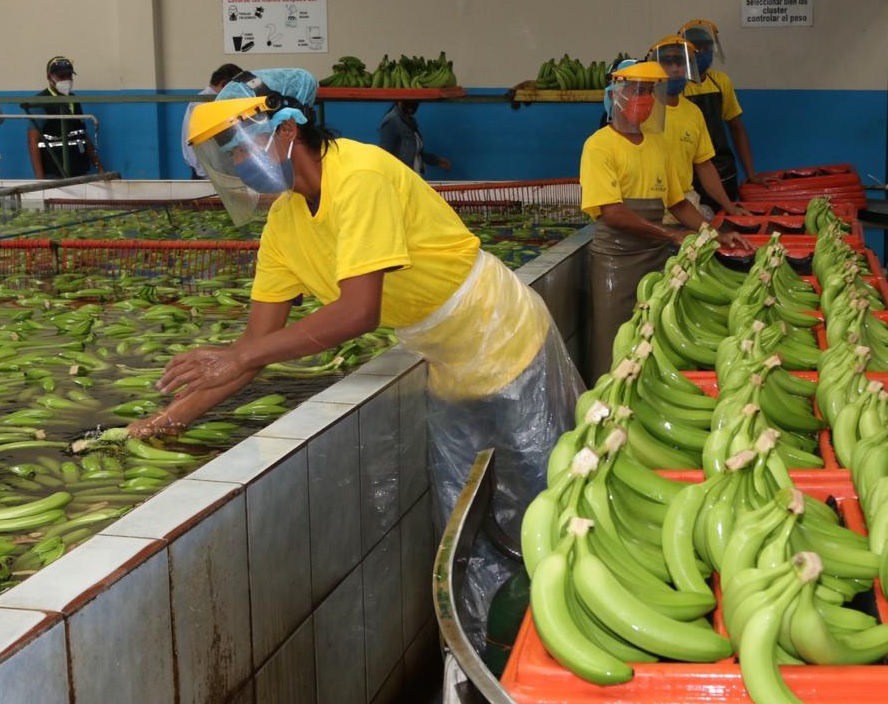 Las exportaciones de Ecuador alcanzaron los 6.154 millones de dólares en los dos primeros meses de 2025.