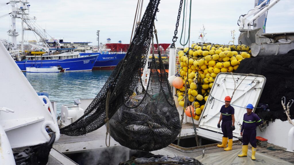 Los visitantes observaron cómo se realiza el control de pesca en el puerto de Manta.
