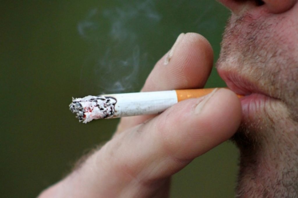 ONG advierte que fumar reduce el volumen del cerebro