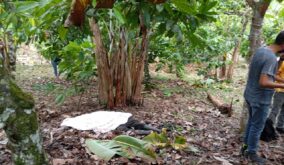 Otra muerte violenta en los límites entre Manabí y Santo Domingo de los Tsáchilas