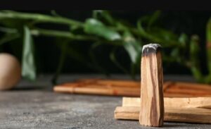 PALO SANTO (1)