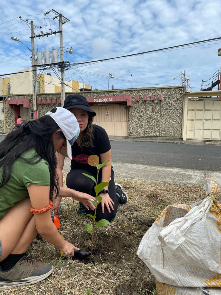 Portoviejo Club Rotario siembra 50 árboles para recuperar espacios verdes