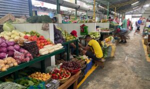 Santa Ana se levanta tras el azote del invierno, el comercio retoma su ritmo
