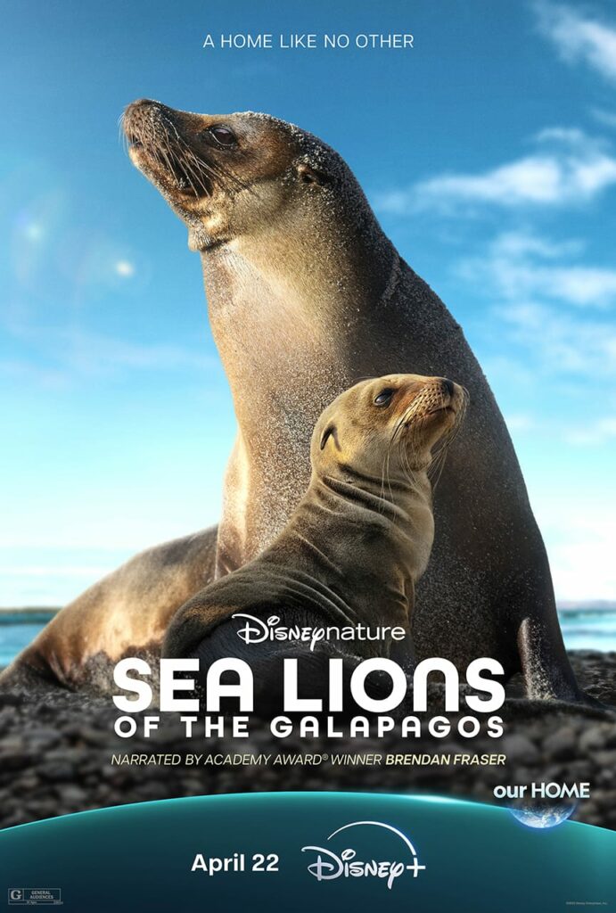 “Sea Lions of the Galápagos” llega a Disney+ para celebrar el Día de la Tierra